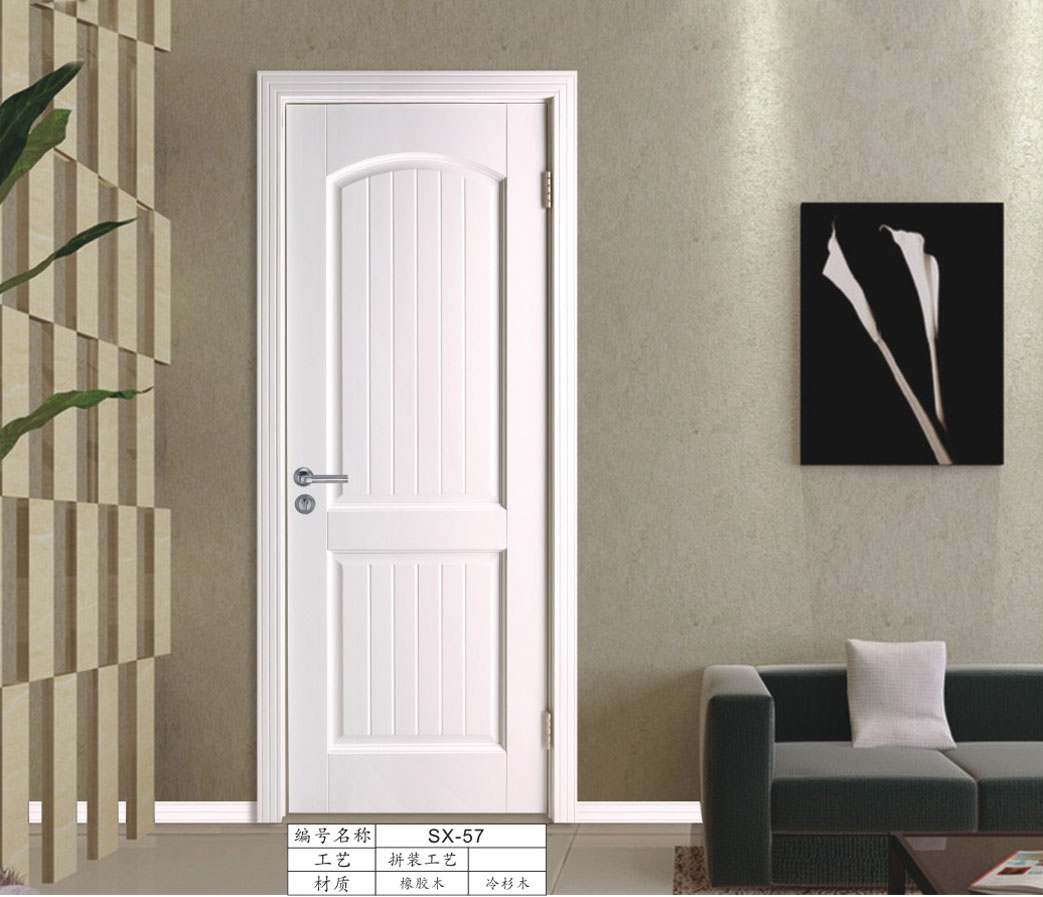 ����ʵľ��SX-57